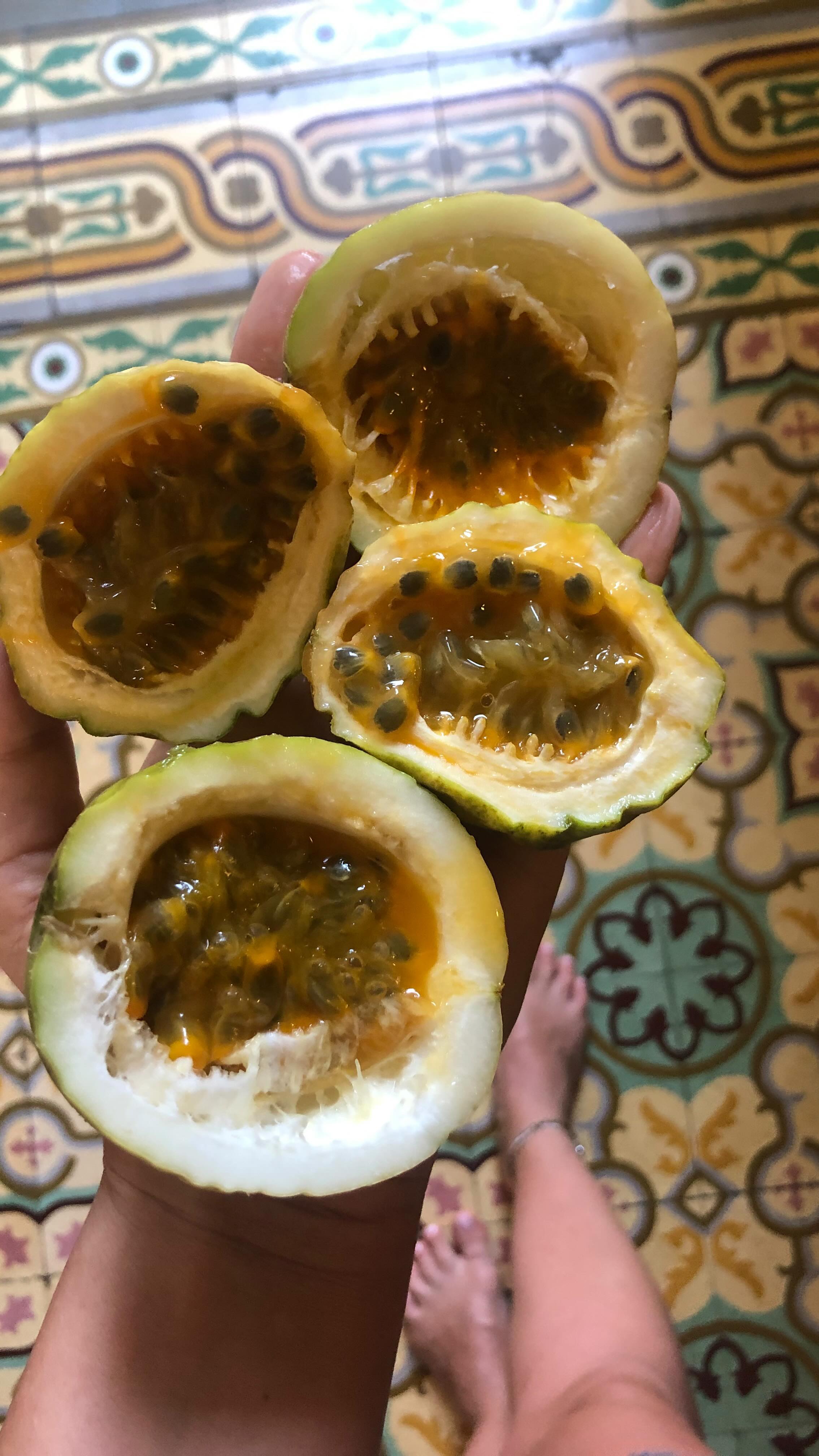 Moja mocna 7 karaibskich owoców i smaków. Czy komuś pociekła ślinka? 😋 
#karaiby #dominikana #dominicanrepublic🇩🇴 #owocetropikalne #tropicalfruit #tropicalfruits #travelblogger #eathealthy #eatandtravel
